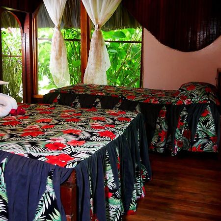 Banana Bank Lodge & Jungle Horseback Adventures Belmopan Eksteriør billede