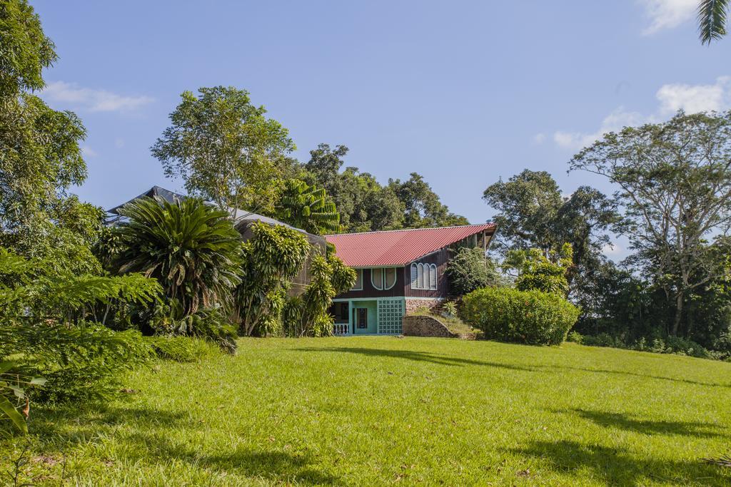 Banana Bank Lodge & Jungle Horseback Adventures Belmopan Eksteriør billede