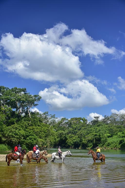 Banana Bank Lodge & Jungle Horseback Adventures Belmopan Eksteriør billede